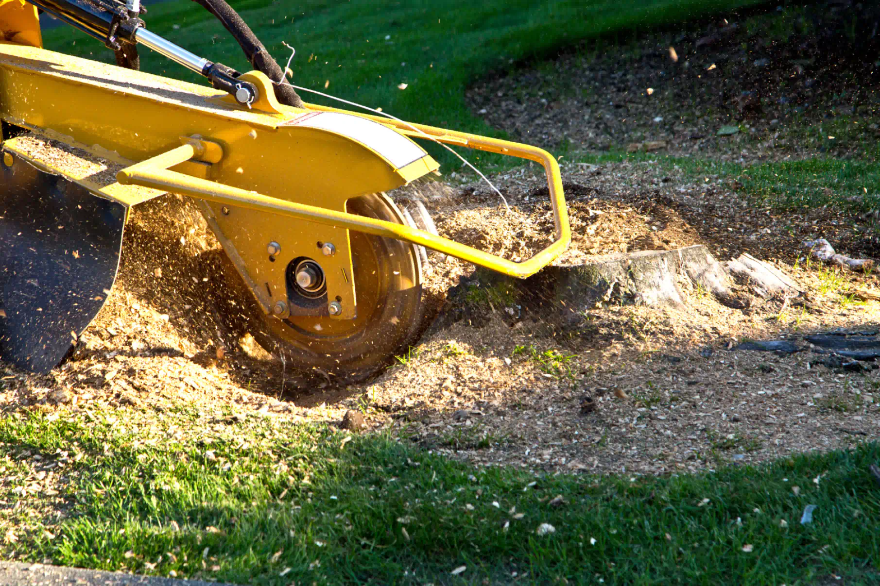 stump grinding